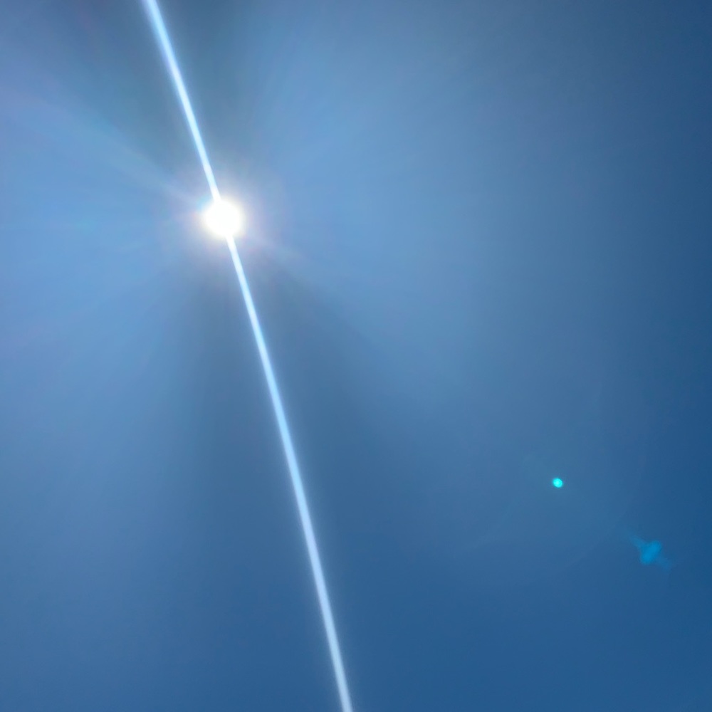 Meet your Posher, Isabella